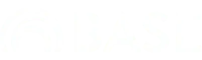 BASE Basel Agency for Sustainable Energy